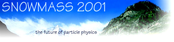 Snowmass 2001