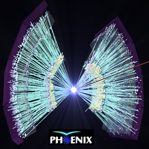 charged tracks produced in central
		      gold-gold collisions as seen by PHENIX